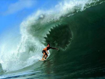 faire gaffe au requin
